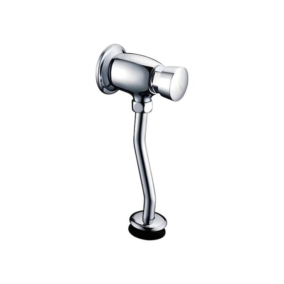 LT-10010-BRA-AZXBYSF white flush-valves