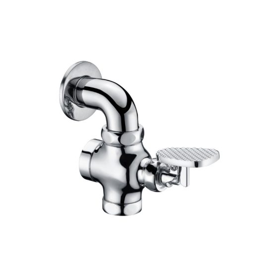 LT-10010-BRA-JTYSF white flush-valves