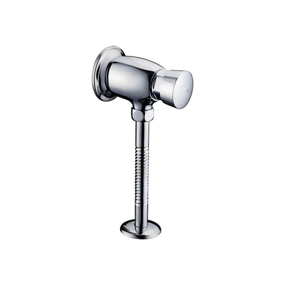 LT-10011-BRA-AZXBYSF white flush-valves
