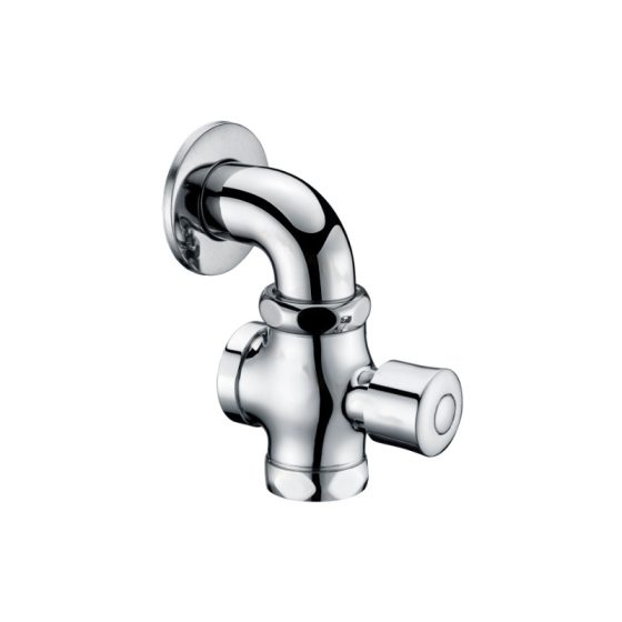 LT-10012-BRA-ASYCF white flush-valves