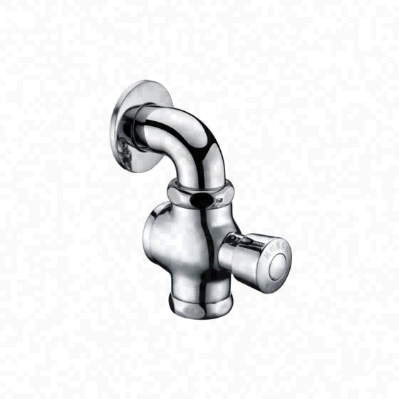 LT-10014-BRA-ASYCF white flush-valves