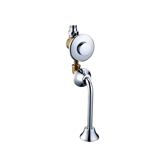 LT-10014-BRA-AZXBYSF white flush-valves