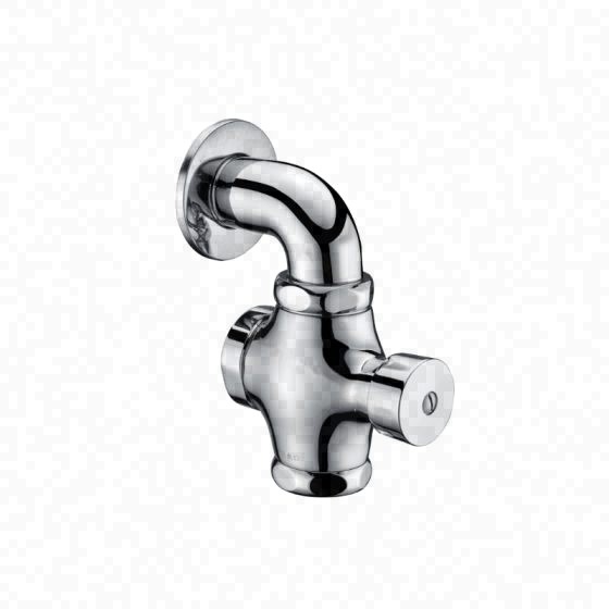 LT-10018-BRA-ASYCF white flush-valves