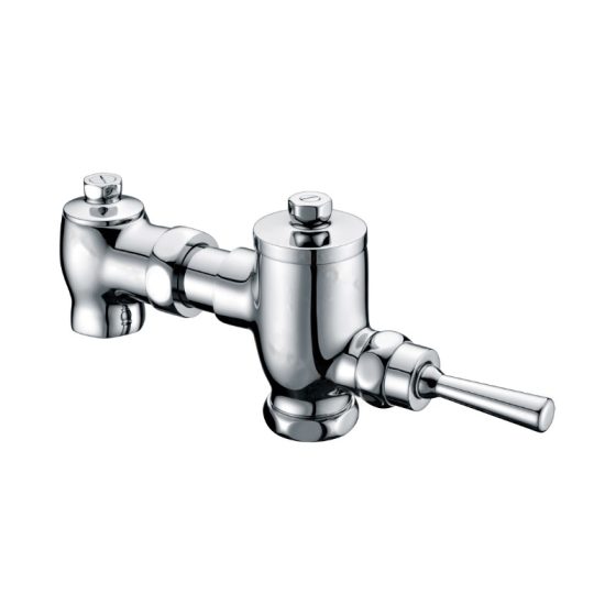 LT-10020-BRA-WSYSF white flush-valves