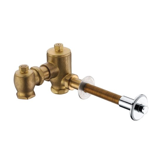 LT-10023-BRA-WSYSF white flush-valves