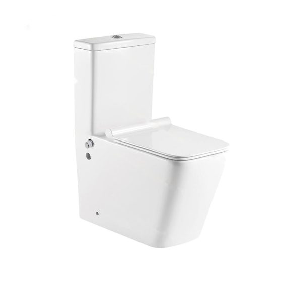 LT-1003-Bidet white one-piece-toilets