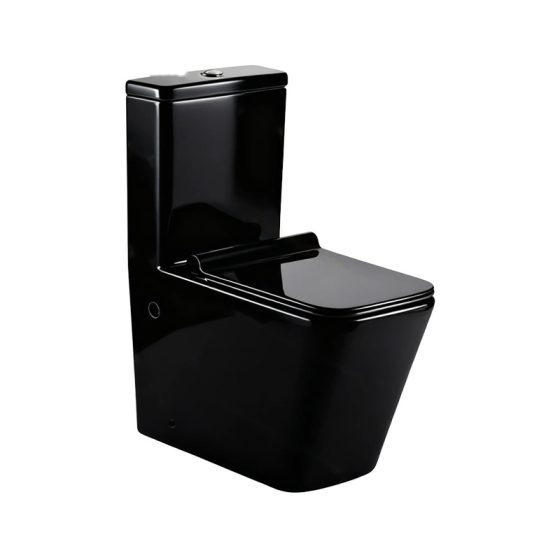 LT-1003-CG-BL black one-piece-toilets