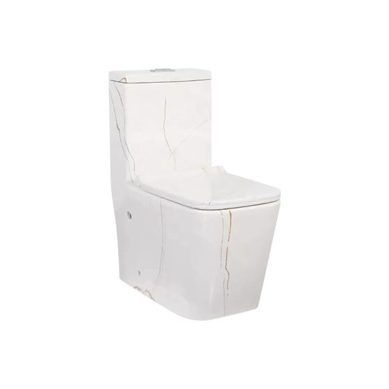 LT-1003-DP-CT1 white one-piece-toilets