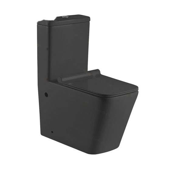 LT-1003-M-BL black one-piece-toilets