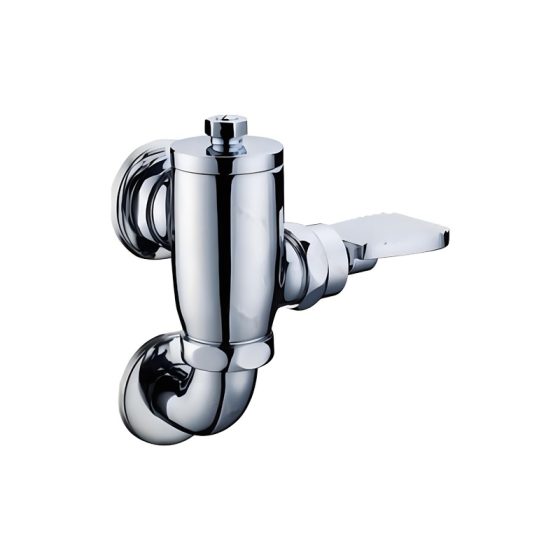 LT-10036-BRA-JTYSF white flush-valves