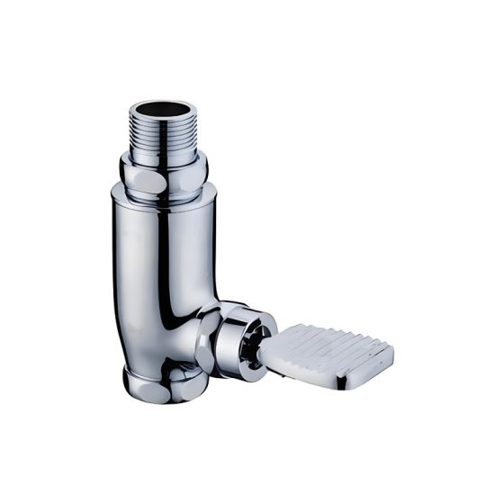 LT-10038-BRA-JTYSF white flush-valves