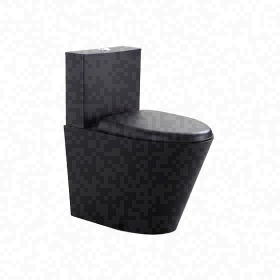 LT-10039-SS-BXGMT black urinals-squat-pans