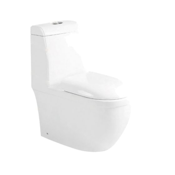 LT-1004 white one-piece-toilets