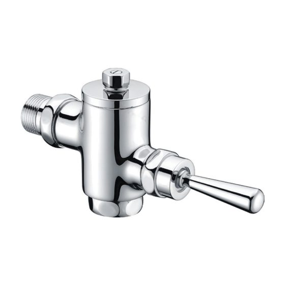 LT-10047-BRA-WSYSF white flush-valves