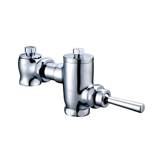 LT-10053-BRA-WSYSF white flush-valves