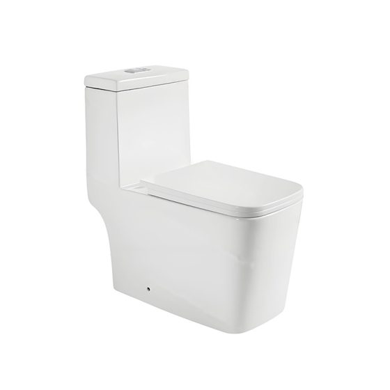 LT-1005A white one-piece-toilets