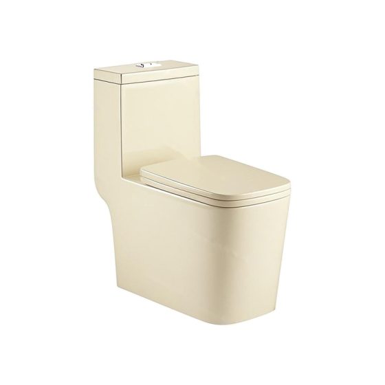LT-1005B-CG-IV white one-piece-toilets