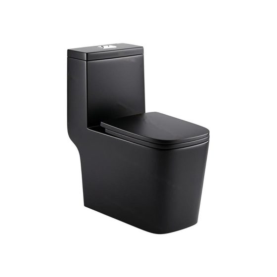 LT-1005B-M-BL black one-piece-toilets