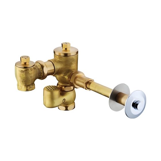 LT-10062-BRA-WSYSF white flush-valves