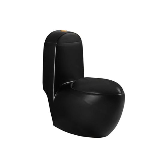 LT-1011-M-BL black one-piece-toilets