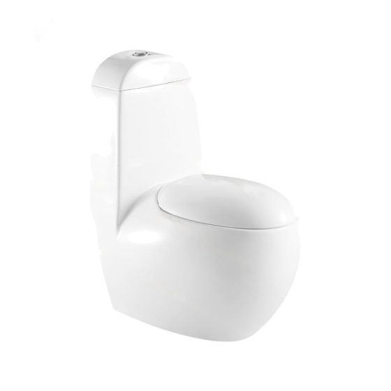 LT-1011 white one-piece-toilets