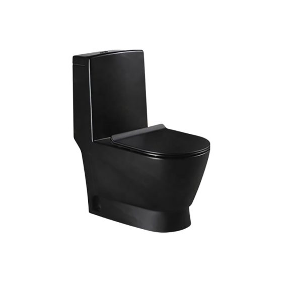 LT-1013-CG-MB black one-piece-toilets