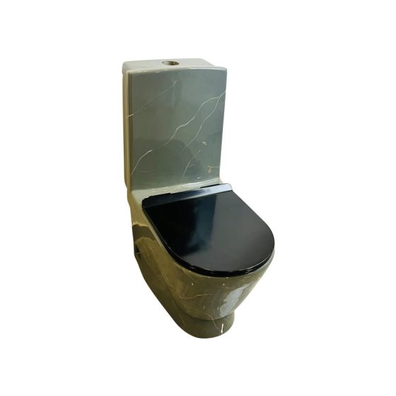 LT-1013-CS-CR patterned one-piece-toilets