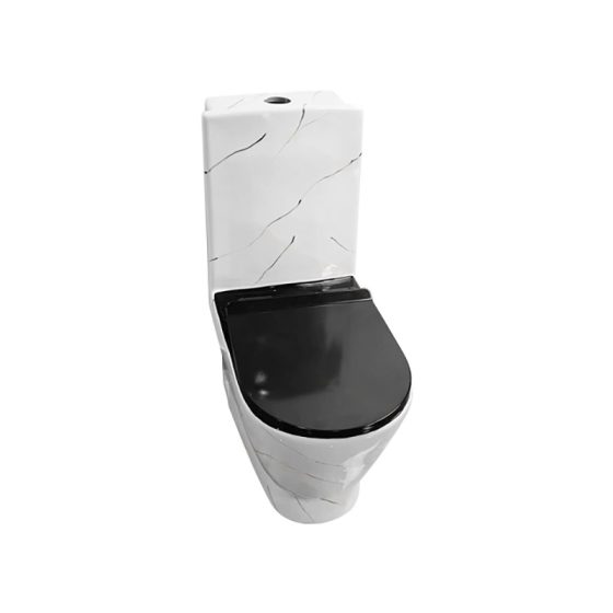 LT-1013-CS-K1 white one-piece-toilets