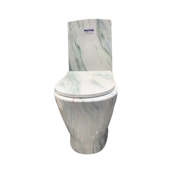LT-1013-CS-MB patterned one-piece-toilets