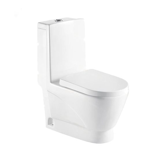 LT-1013 white one-piece-toilets