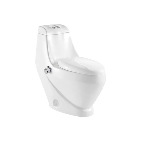 LT-1014-Bidet white one-piece-toilets