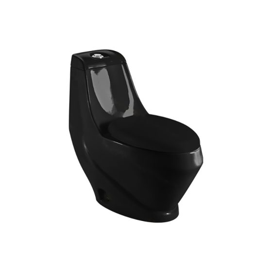 LT-1014-CG-BL black one-piece-toilets