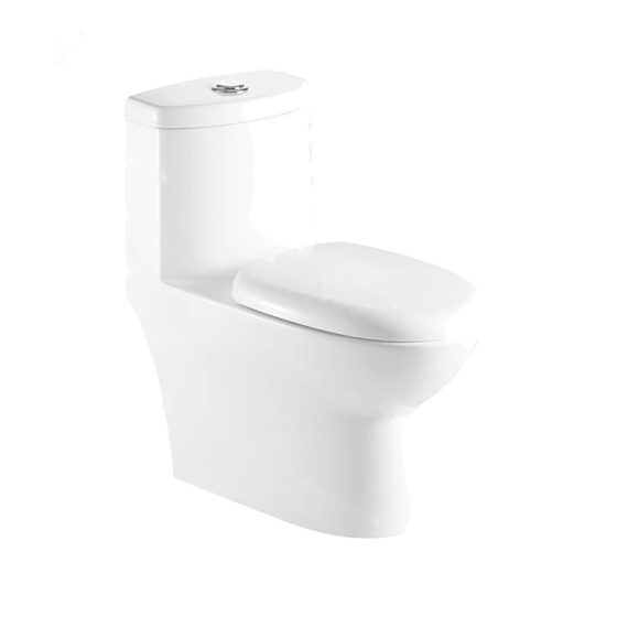 LT-1015 white one-piece-toilets