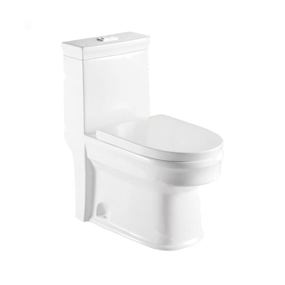 LT-1016 white one-piece-toilets