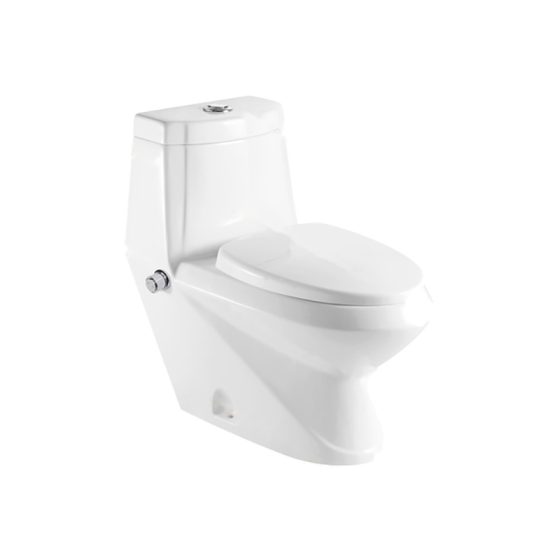 LT-1017-Bidet white one-piece-toilets