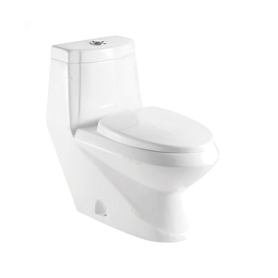 LT-1017 white one-piece-toilets