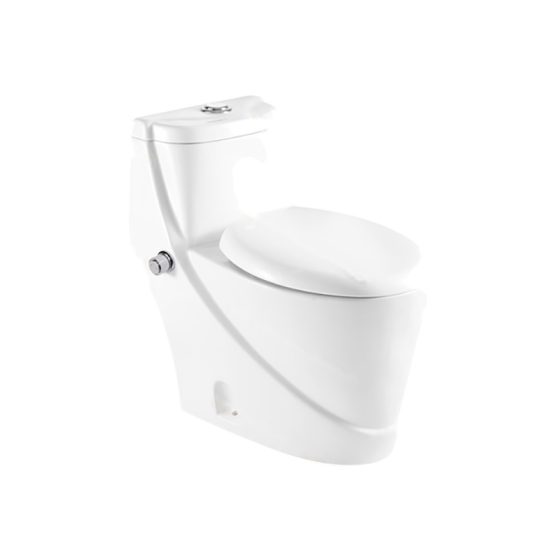 LT-1018-Bidet white one-piece-toilets