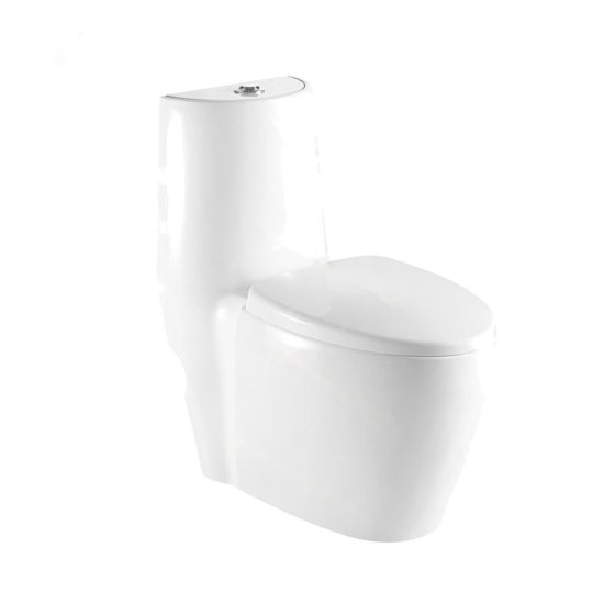 LT-1020 white one-piece-toilets