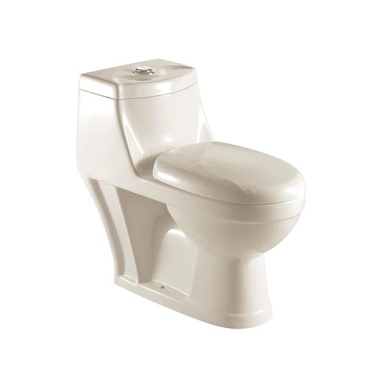 LT-1021-CG-IV white one-piece-toilets