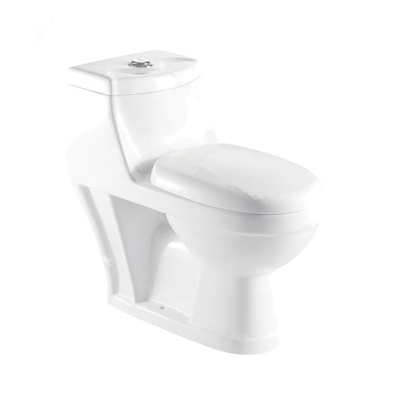 LT-1021 white one-piece-toilets