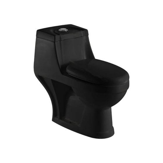 LT-1022-M-BL black one-piece-toilets