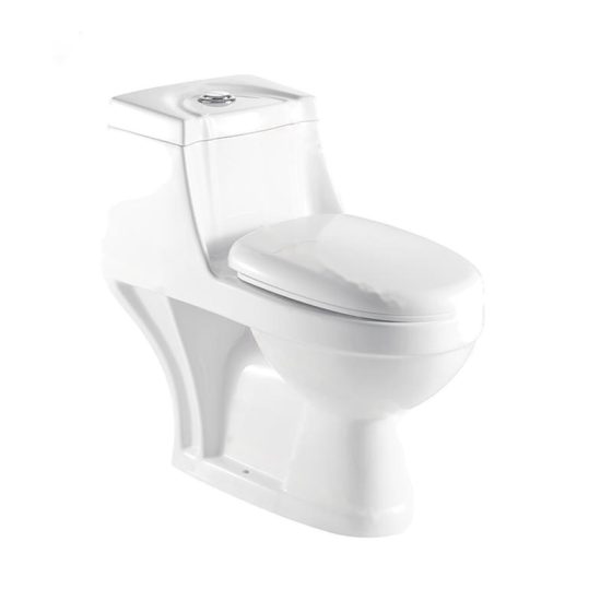 LT-1022 white one-piece-toilets