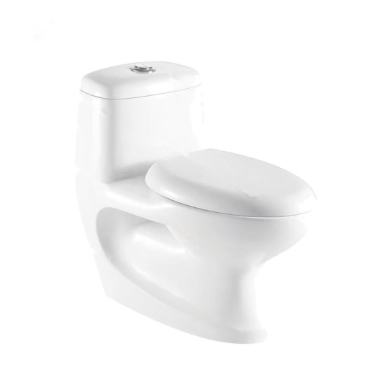 LT-1023 white one-piece-toilets