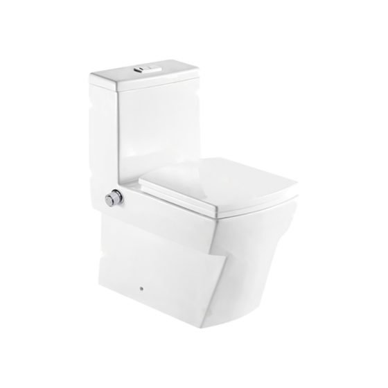 LT-1025-Bidet white one-piece-toilets