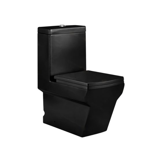 LT-1025-M-BL black one-piece-toilets