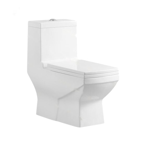 LT-1026 white one-piece-toilets