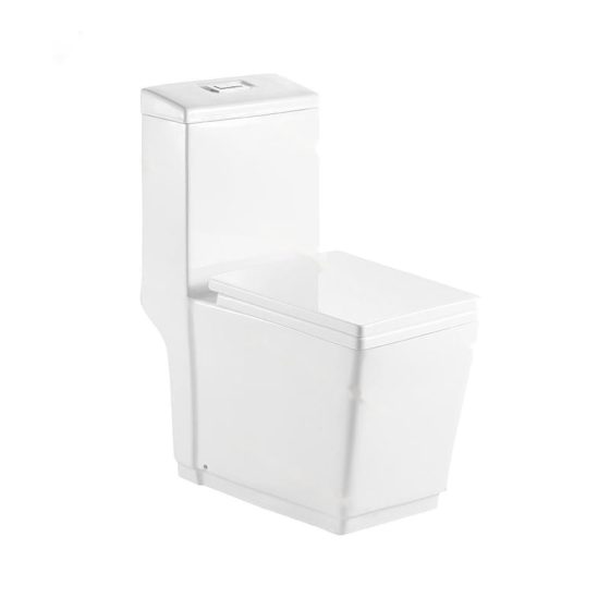 LT-1032 white one-piece-toilets