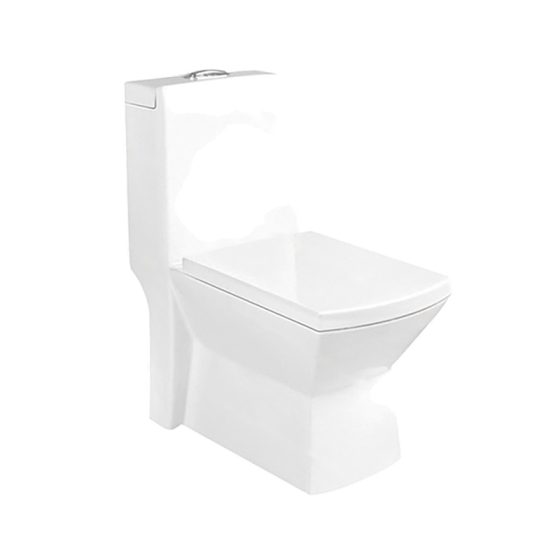 LT-1033 white one-piece-toilets