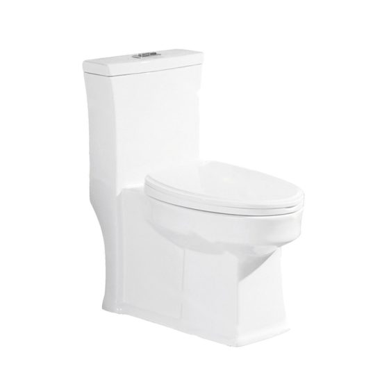 LT-1034 white one-piece-toilets