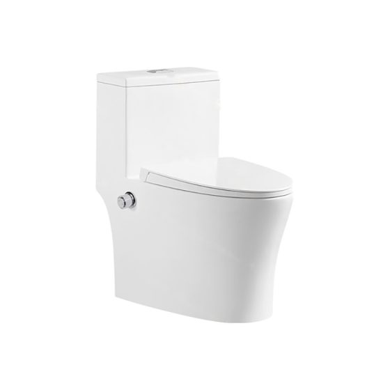 LT-1035-Bidet white one-piece-toilets